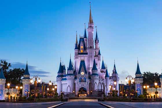 Disney World Transportation and Services in Miami Florida