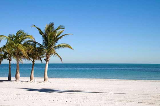 Napels Transportation in Miami Florida