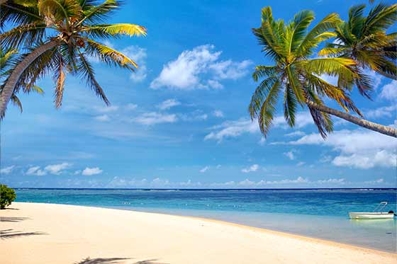 Palm Beach Transportation in Miami Florida